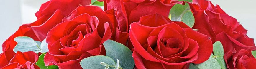 Rosas