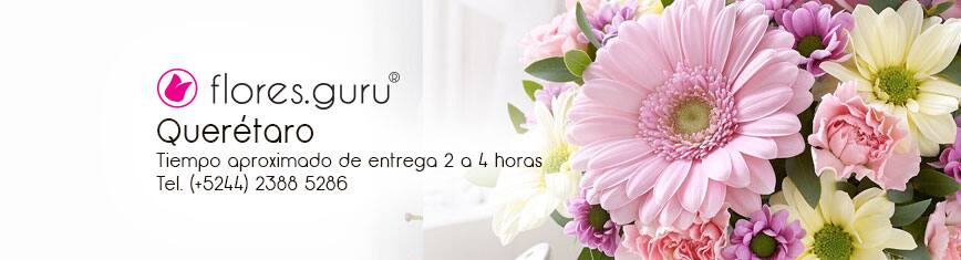 Flores a Domicilio en Querétaro