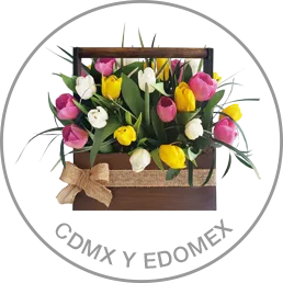 Cdmxy Edomex