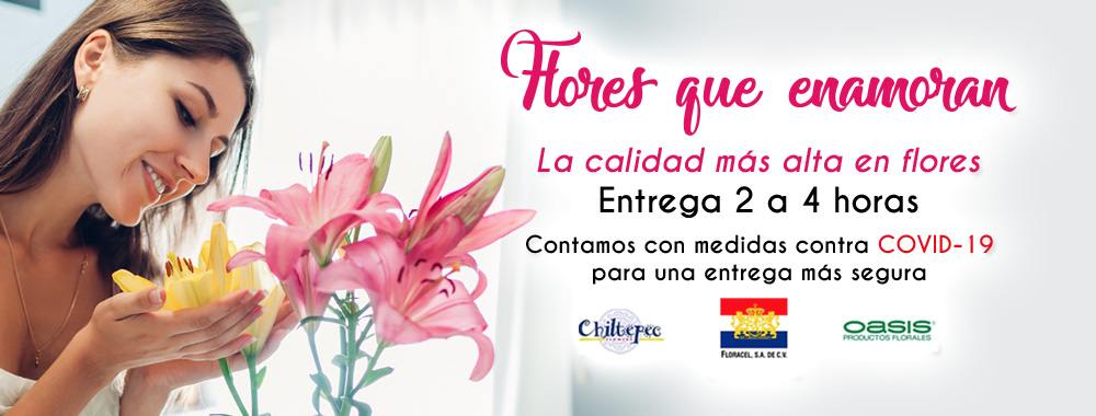 Flores.Guru ®  Flores guru home page Envio de Flores a Domicilio 