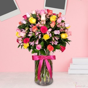 50 Rosas Premium de Colores variados